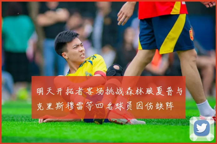 明天开拓者客场挑战森林狼夏普与克里斯穆雷等四名球员因伤缺阵