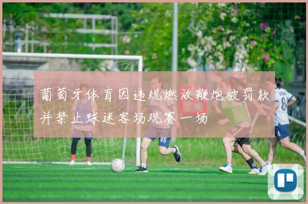 葡萄牙体育因违规燃放鞭炮被罚款并禁止球迷客场观赛一场
