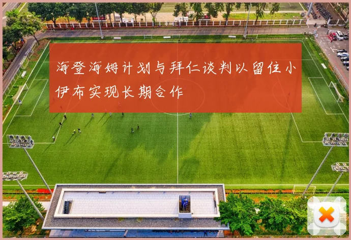 海登海姆计划与拜仁谈判以留住小伊布实现长期合作