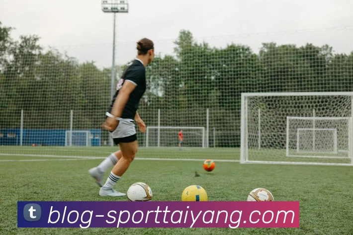 太阳城品牌故事