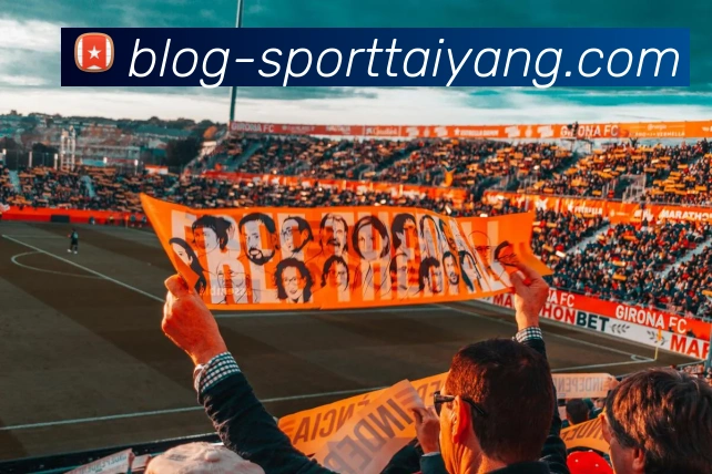 太阳城服务体系